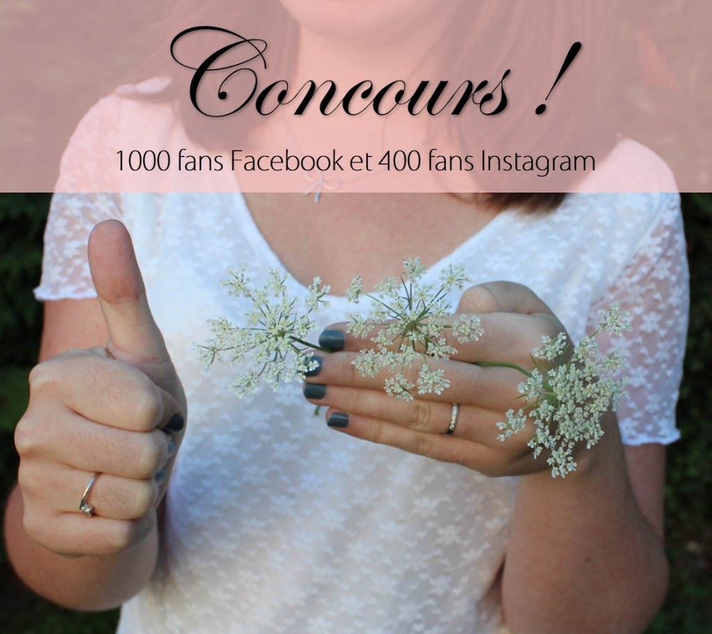 Concours 1000 fans facebook et 400 insta - les lubies de Louise